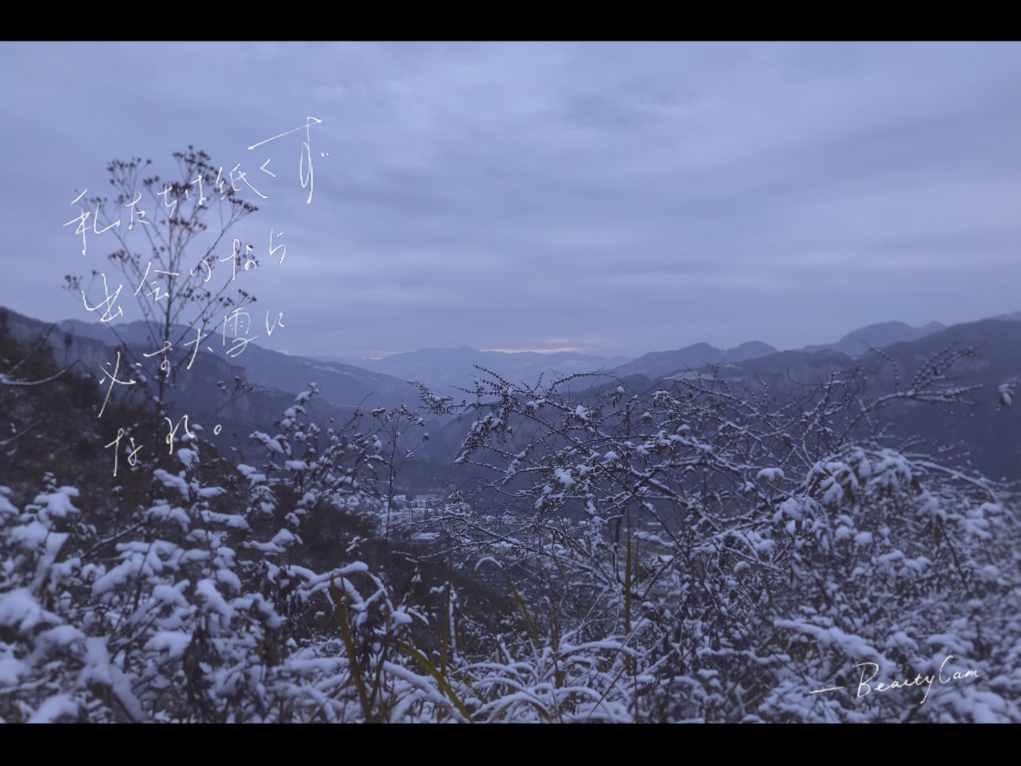 南京海底世界又整新花活了 一大票“龙年限定”争相上大分！