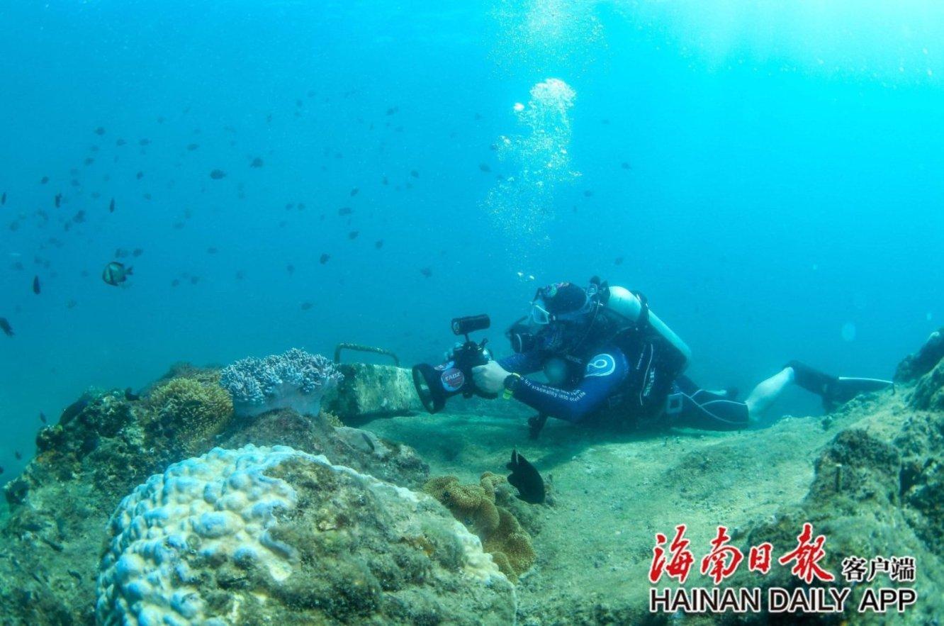 “毅力”号在火星上挖出生命化石?