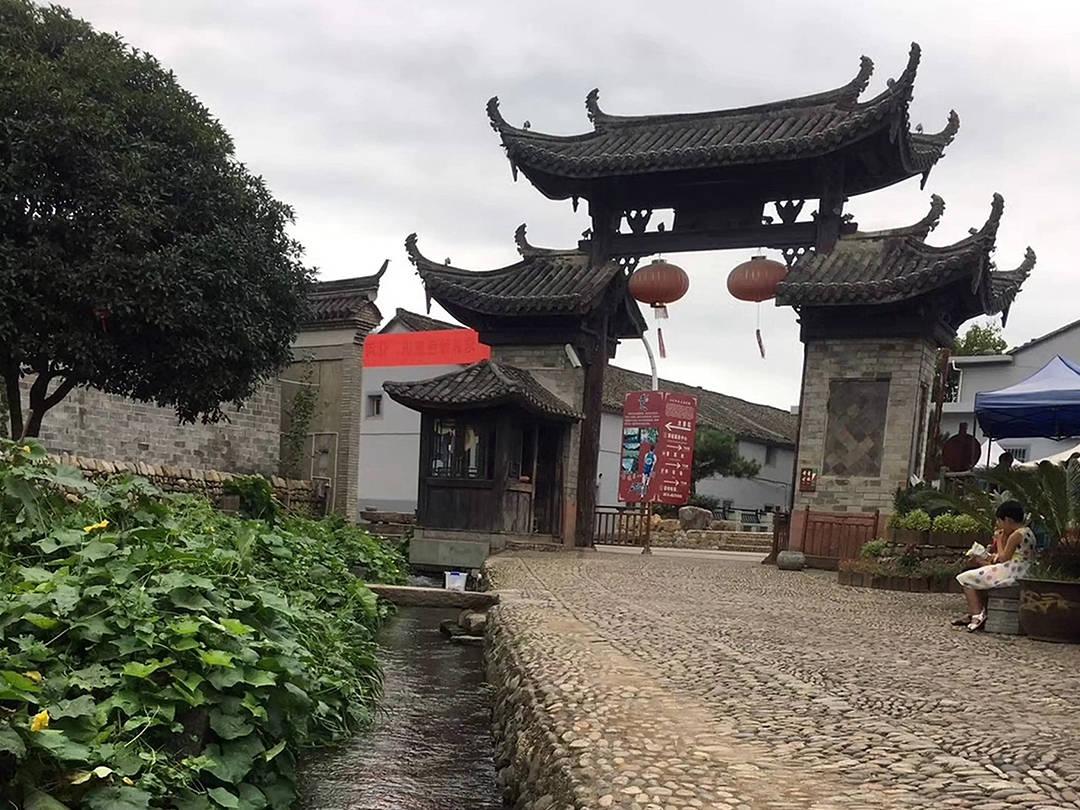 射击红色鸟